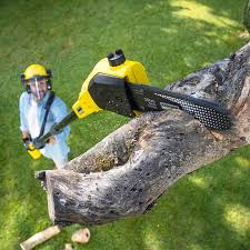 Best Lawn Watering Services  in Red Bay, AL