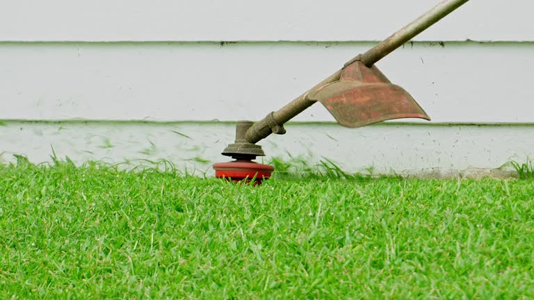 Best Sod Installation  in Red Bay, AL