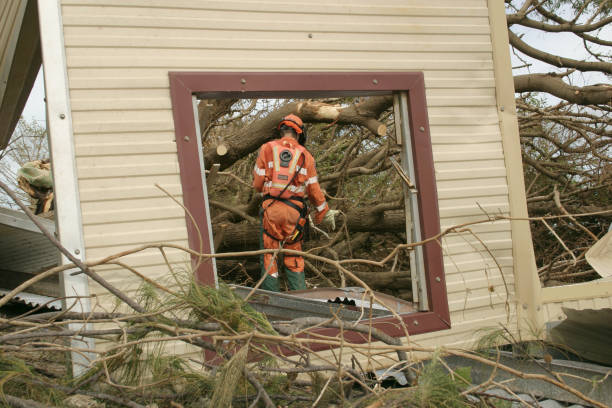 Best Tree Maintenance Programs  in Red Bay, AL